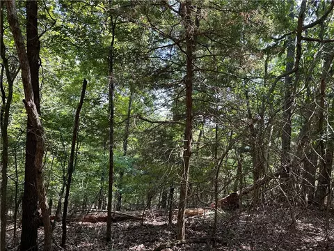 Oak Leaf Circle, Rogers, AR 72732 photo 4