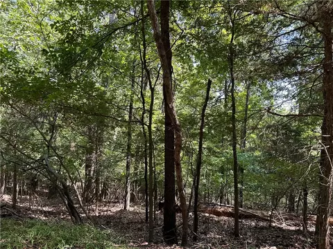 Oak Leaf Circle, Rogers, AR 72732 photo 3