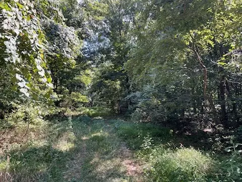 lot289 Ivy Ln, Garfield, AR 72732