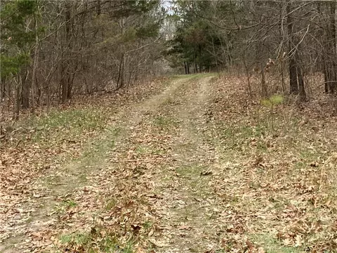 County Rd 147, Eureka Springs, AR 72632