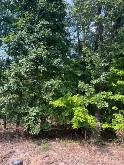Pimlico Drive, Bella Vista, AR 72715