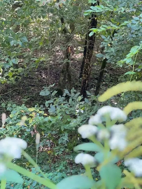 85 12ac Fruitwood Rd, Gravette, AR 72736