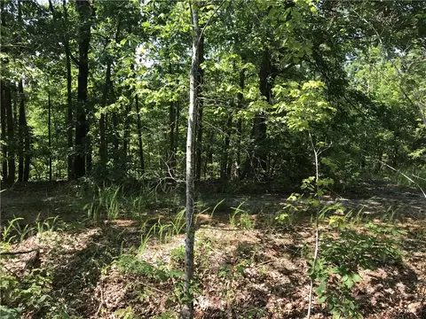 Tbd Leland Lane, Bella Vista, AR 72715