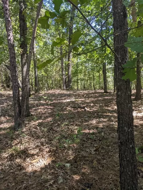4688 Road Rd, Watts, OK 74964