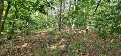 Pentland Drive, Bella Vista, AR 72715