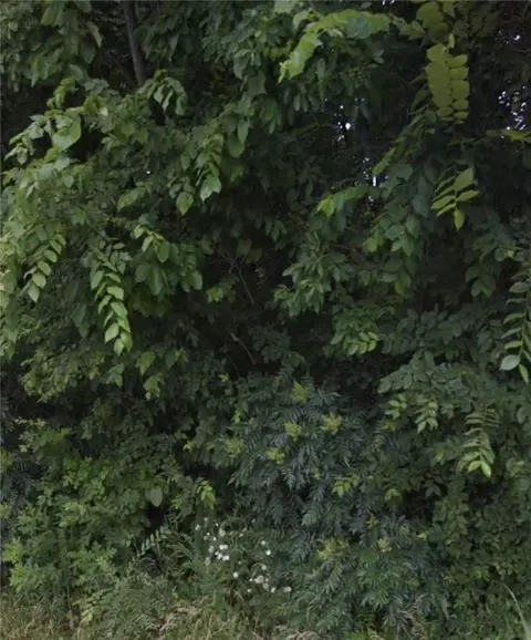 Cheddar Drive, Bella Vista, AR 72715