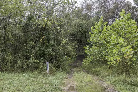 14261 Sunset Rd, Winslow, AR 72959 photo 5