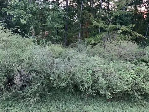 Stringer Lane, Bella Vista, AR 72715