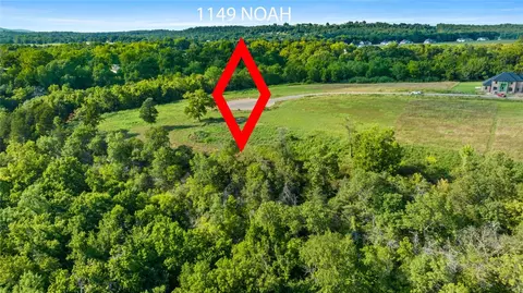 1149 Noah St, Goshen, AR 72703 photo 8