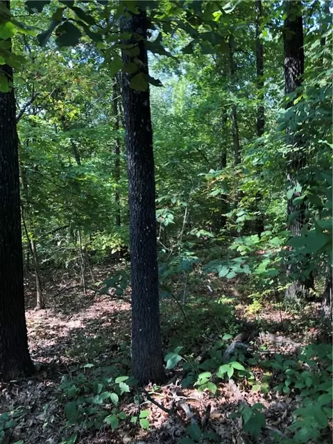 Knighton Drive, Bella Vista, AR 72715
