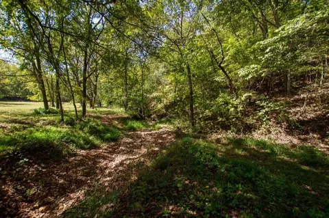 -- Farm Road 2170, Exeter, MO 65647 photo 10