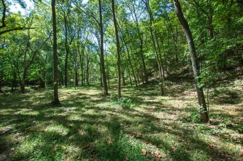 -- Farm Road 2170, Exeter, MO 65647 photo 28