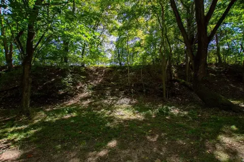 -- Farm Road 2170, Exeter, MO 65647 photo 17
