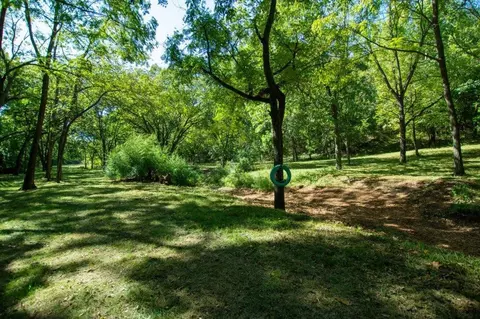 -- Farm Road 2170, Exeter, MO 65647 photo 55