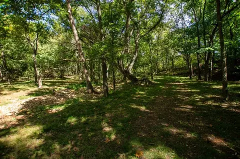 -- Farm Road 2170, Exeter, MO 65647 photo 13