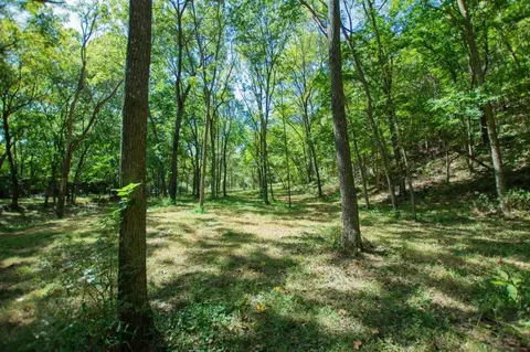 -- Farm Road 2170, Exeter, MO 65647 photo 29