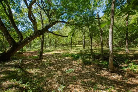 -- Farm Road 2170, Exeter, MO 65647 photo 19