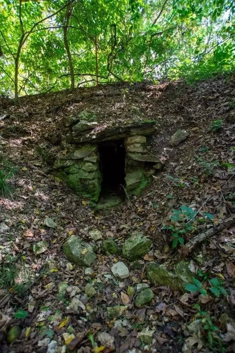 -- Farm Road 2170, Exeter, MO 65647 photo 54