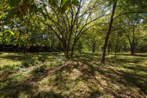 -- Farm Road 2170, Exeter, MO 65647 photo 33
