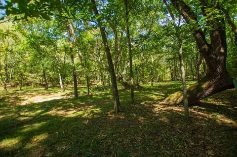 -- Farm Road 2170, Exeter, MO 65647 photo 50