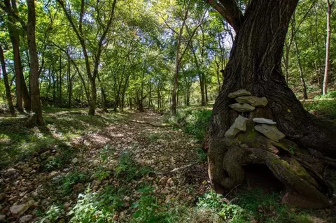 -- Farm Road 2170, Exeter, MO 65647 photo 26