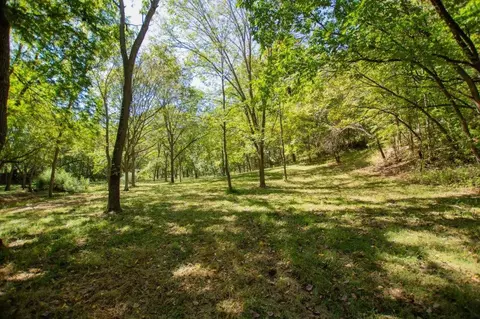 -- Farm Road 2170, Exeter, MO 65647 photo 30