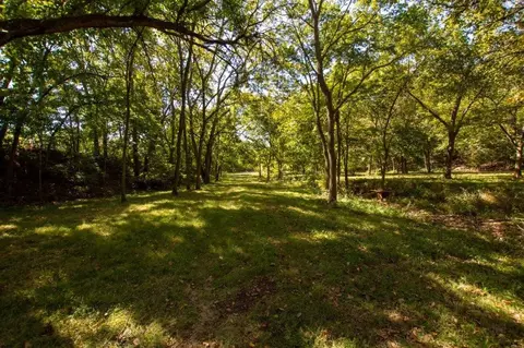 -- Farm Road 2170, Exeter, MO 65647 photo 41