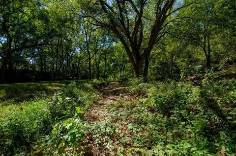 -- Farm Road 2170, Exeter, MO 65647 photo 39