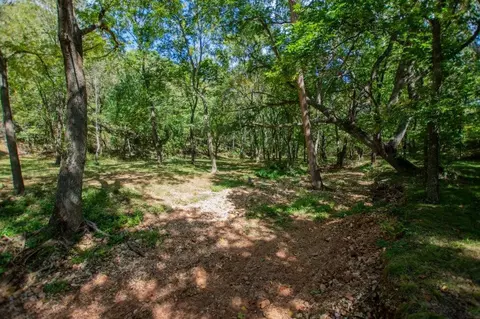 -- Farm Road 2170, Exeter, MO 65647 photo 14