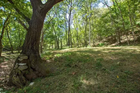 -- Farm Road 2170, Exeter, MO 65647 photo 27
