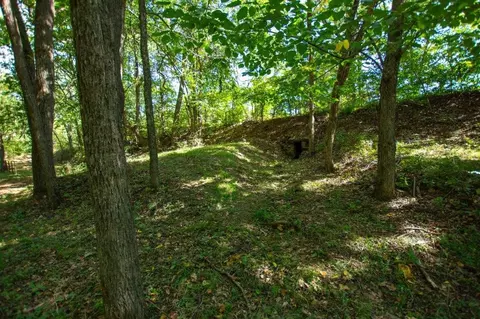 -- Farm Road 2170, Exeter, MO 65647 photo 51
