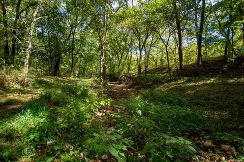 -- Farm Road 2170, Exeter, MO 65647 photo 3