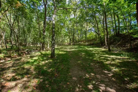 -- Farm Road 2170, Exeter, MO 65647 photo 18