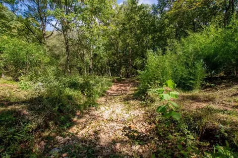 -- Farm Road 2170, Exeter, MO 65647 photo 40