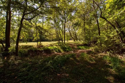 -- Farm Road 2170, Exeter, MO 65647 photo 9