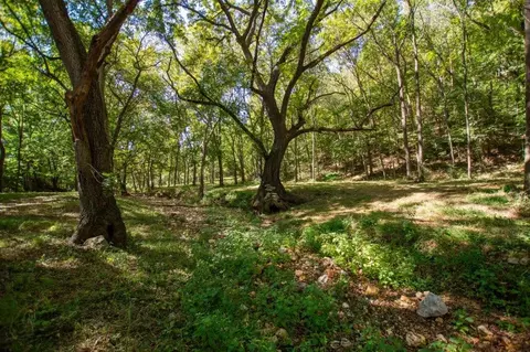 -- Farm Road 2170, Exeter, MO 65647 photo 22