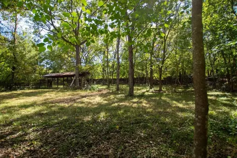 -- Farm Road 2170, Exeter, MO 65647 photo 4