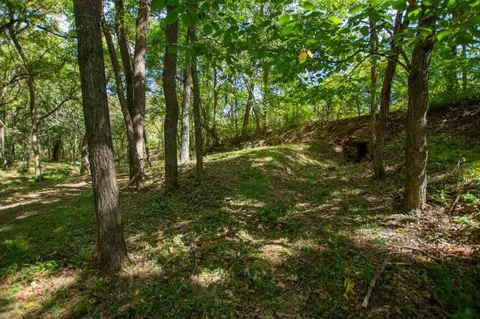 -- Farm Road 2170, Exeter, MO 65647 photo 20