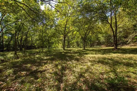 -- Farm Road 2170, Exeter, MO 65647 photo 34