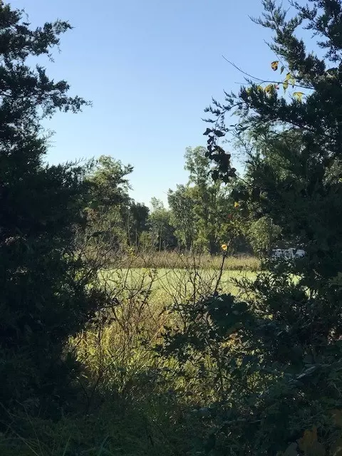 Francis Drive, Bella Vista, AR 72715
