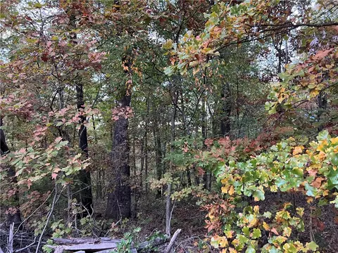 Hatfield Lane, Bella Vista, AR 72714