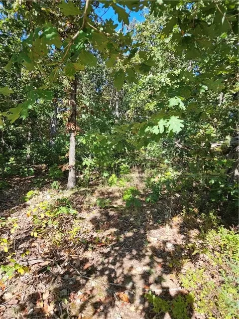 17 Clackmannan Lane, Bella Vista, AR 72715