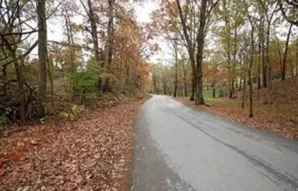 514 Rader Rd, Avoca, AR 72756