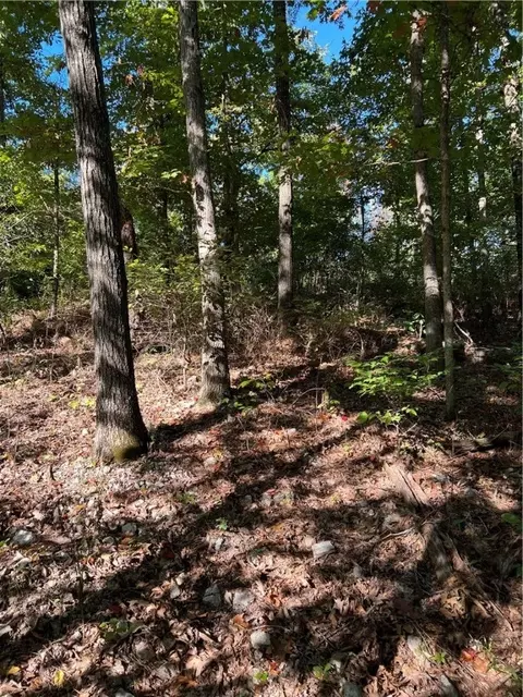 Rothbury Lane, Bella Vista, AR 72714