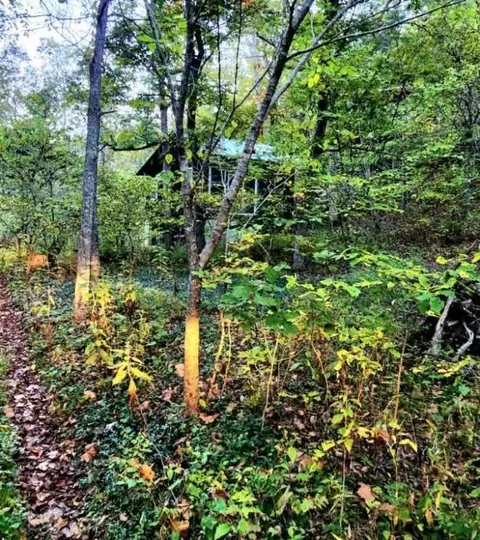840 County Road 3028, Eureka Springs, AR 72632
