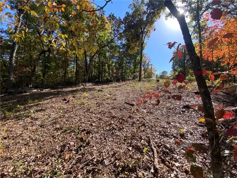 22 Carew Drive, Bella Vista, AR 72714