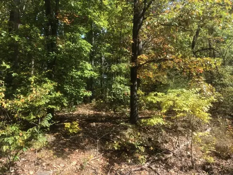 Drifton Drive, Bella Vista, AR 72715
