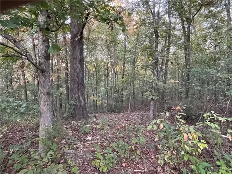 Lot 2, Bella Vista, AR 72714
