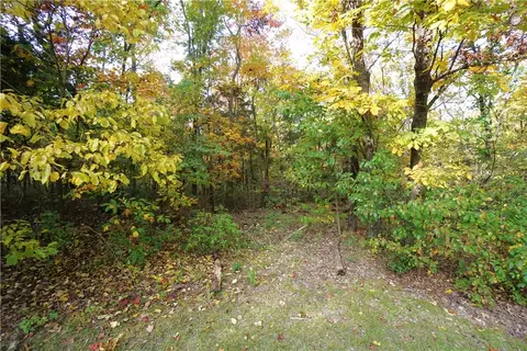 342 Oak Ridge Rd, Seligman, MO 65745 photo 30