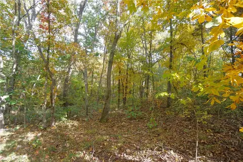 342 Oak Ridge Rd, Seligman, MO 65745 photo 3